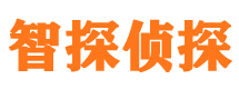 亚东市调查公司